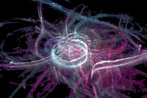 Neuro